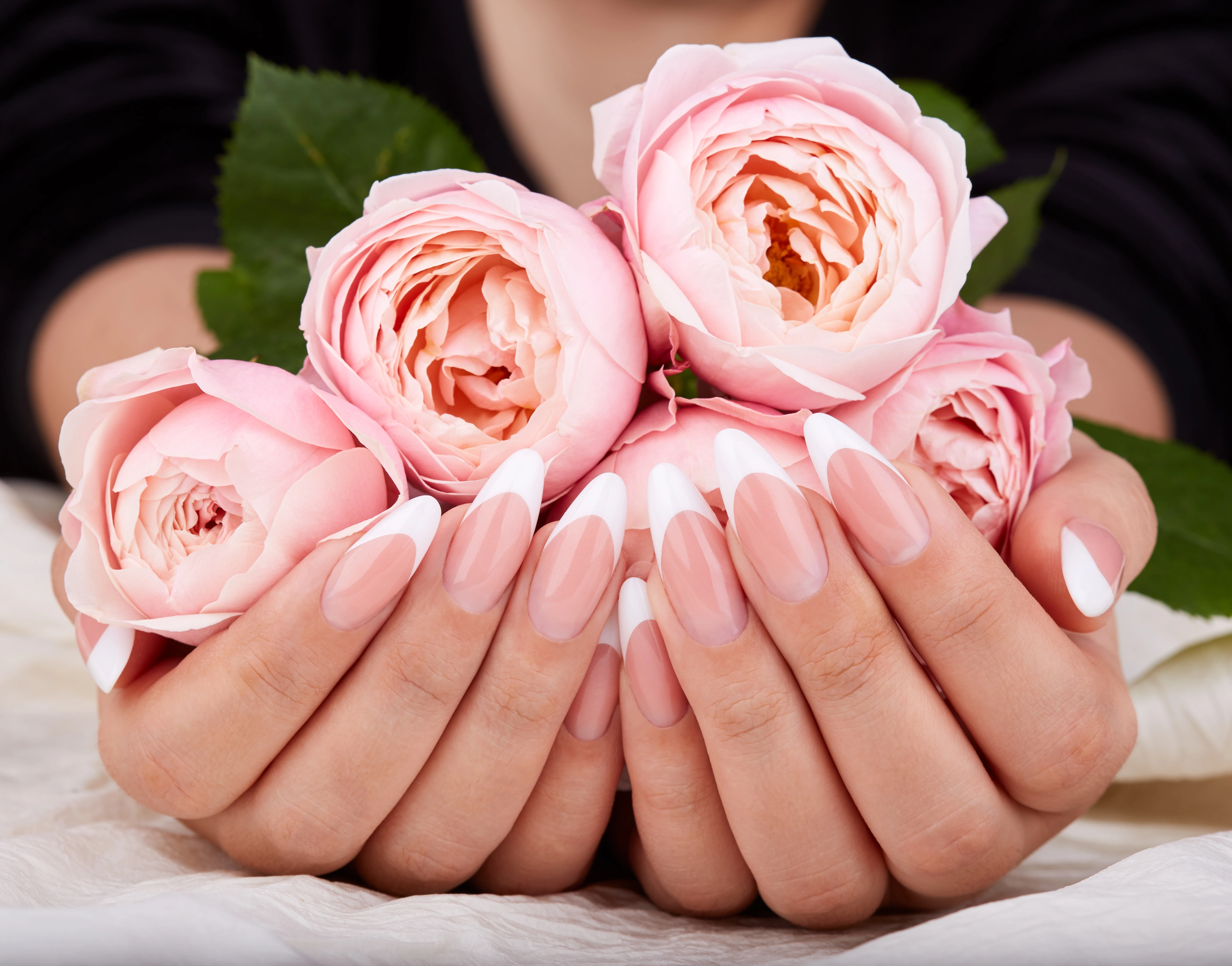 Pale pink manicured hands holding a bouquet of pink roses